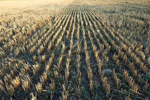 comment gérer les situations de crise en tant que manager