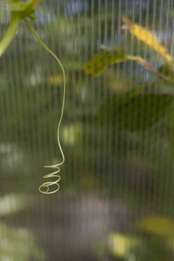 comment adapter les formations en entreprise aux nouvelles réalités du travail à distance