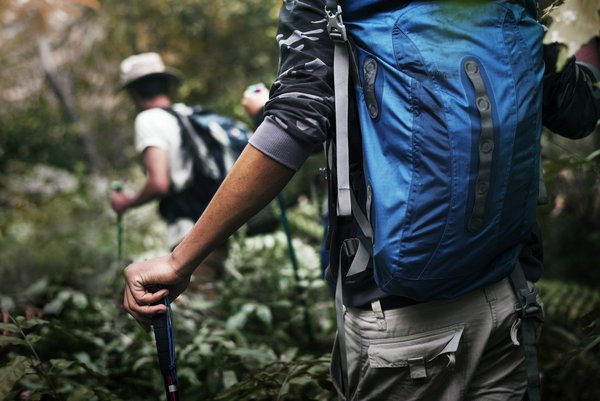 Géomatique forestière : incontournable pour les acteurs des ressources naturelles